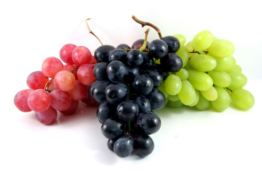 Grapes Export