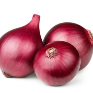 Red Onion Export